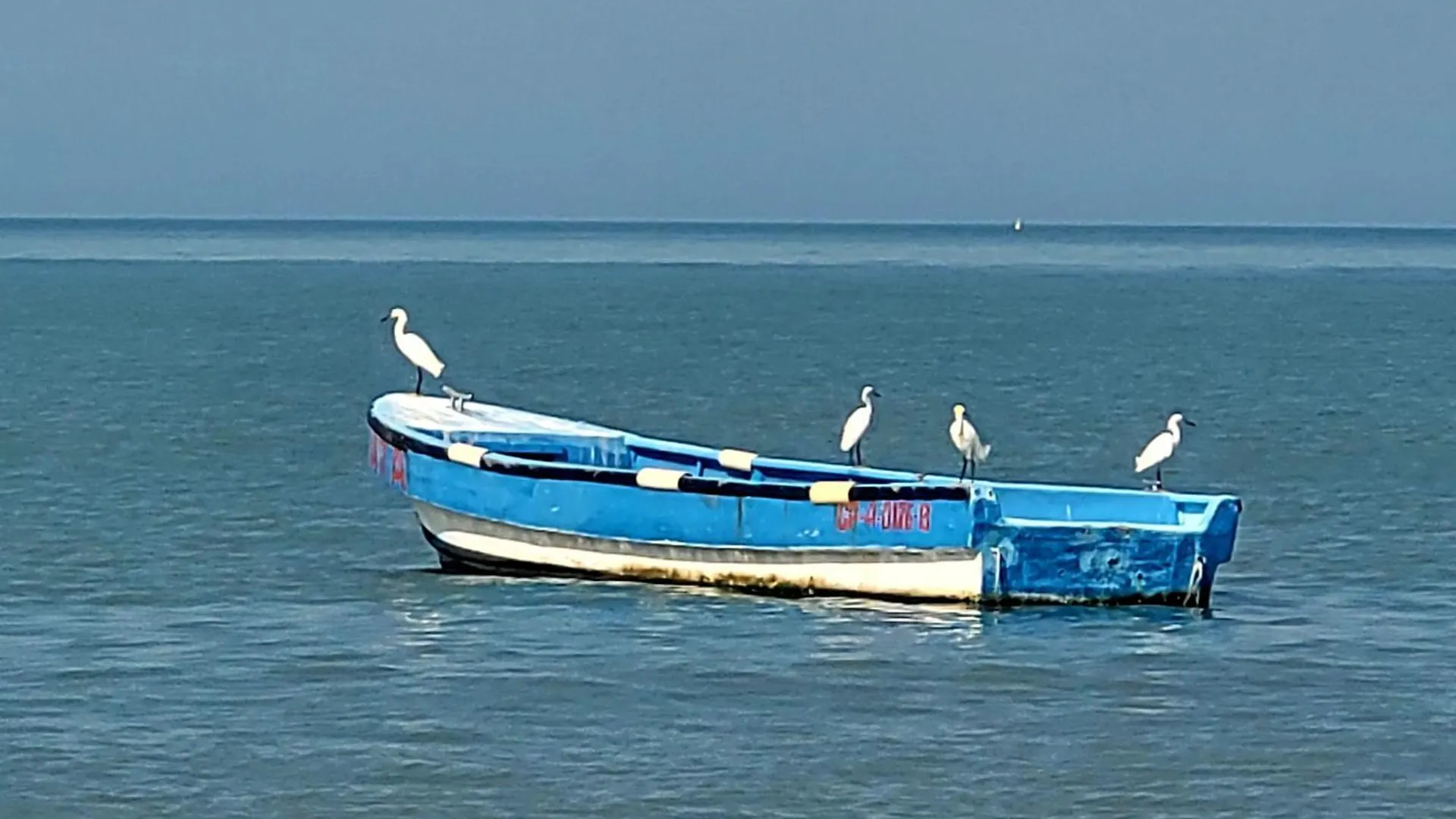 Hotel Porto Horizonte 1426 Santa Marta
